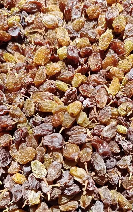 باسلام کشمش بواناتی سایه خشک درجه یک بدون هسته|خوردنی و آشامیدنی|آباده, |دیوار
