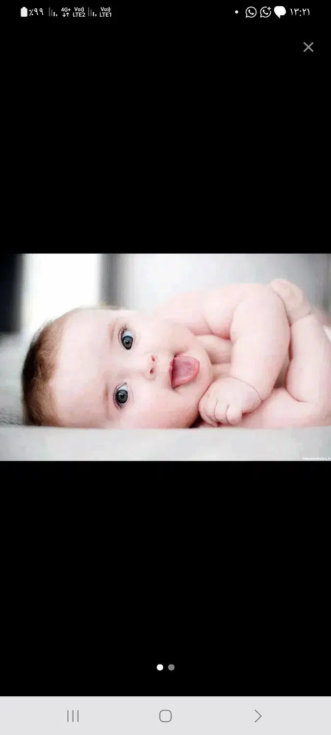 تخمک|فعالیت داوطلبانه|تهران, پردیسان|دیوار