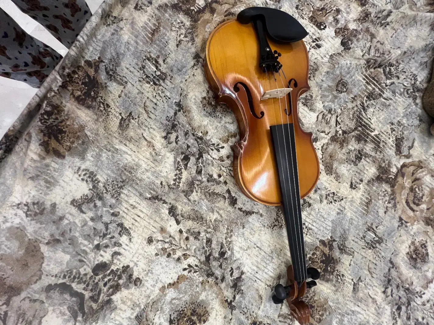 ویلیون|ویولن|تهران, شهران جنوبی|دیوار