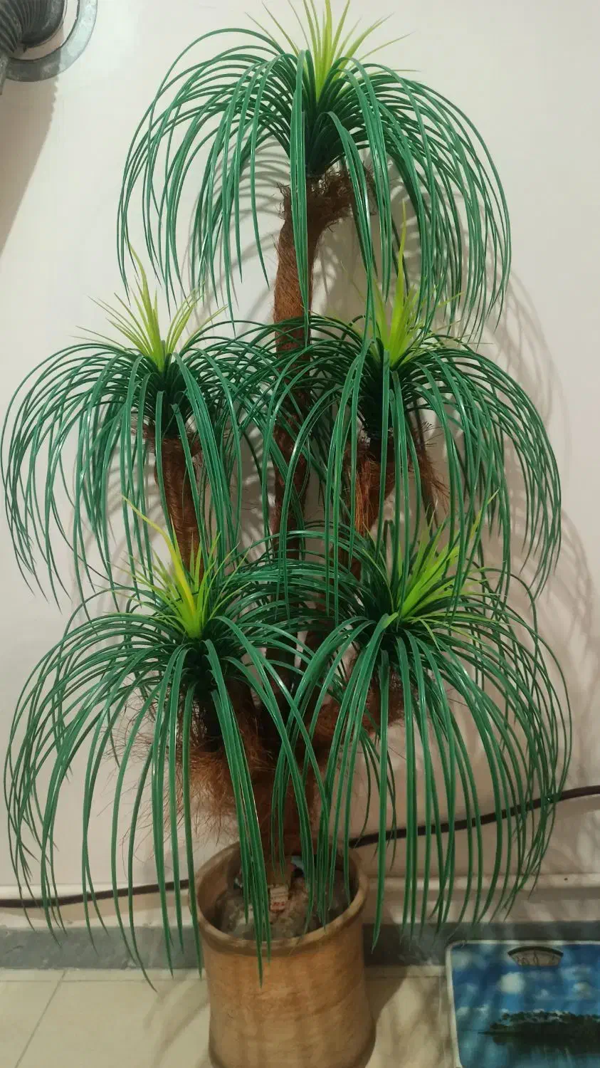 درختچه مصنوعی سالم|گل مصنوعی|نظرآباد, شهرک آزادگان|دیوار