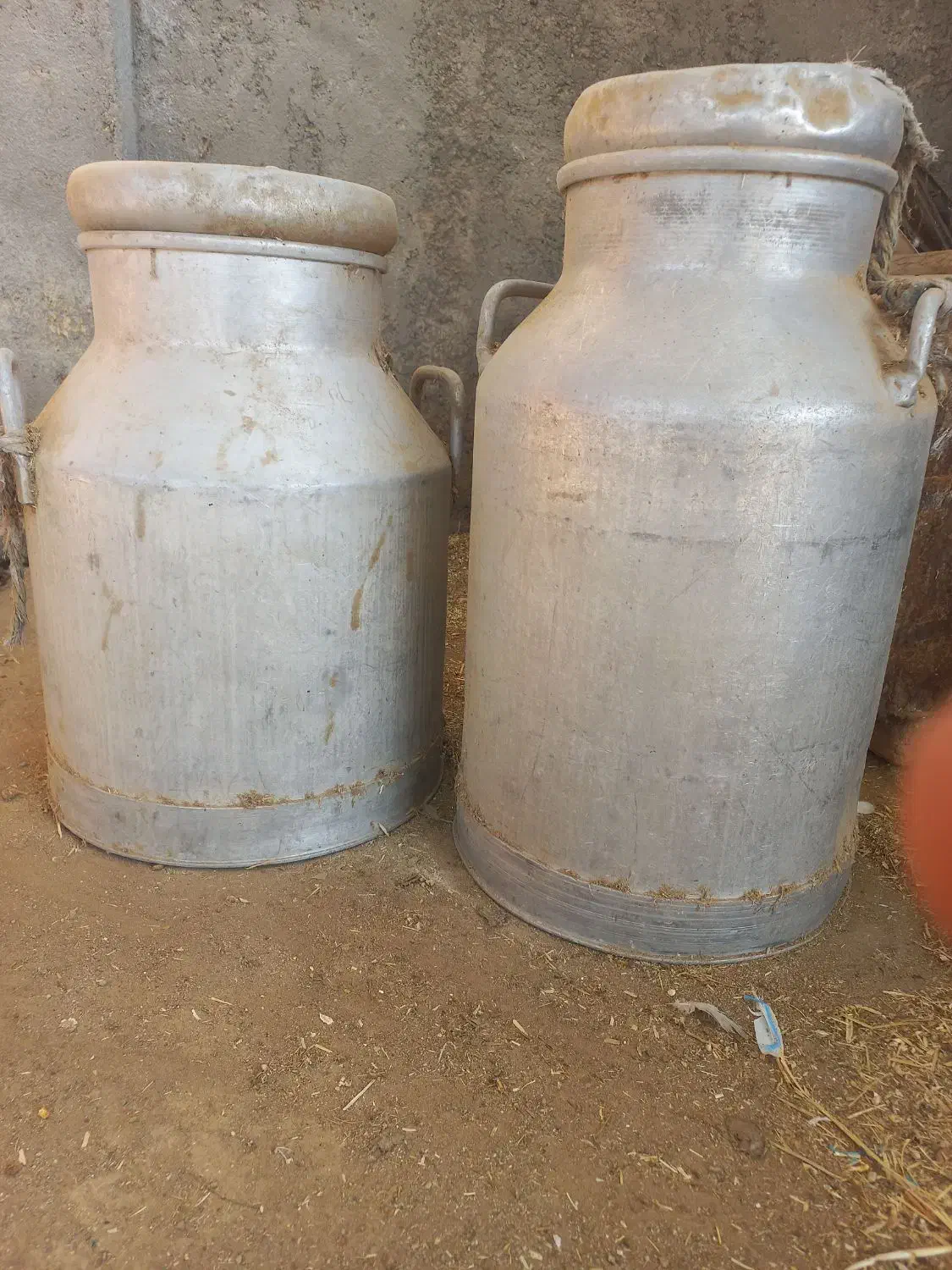 دبه (بیدون)شیر|ظروف نگهدارنده، پلاستیکی، یکبارمصرف|آران و بیدگل, |دیوار