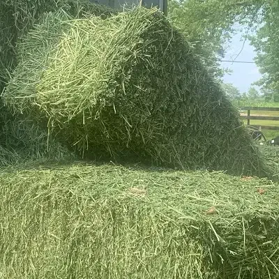 فروش یونجه پرس شده|خدمات باغبانی و درختکاری|خزل, |دیوار