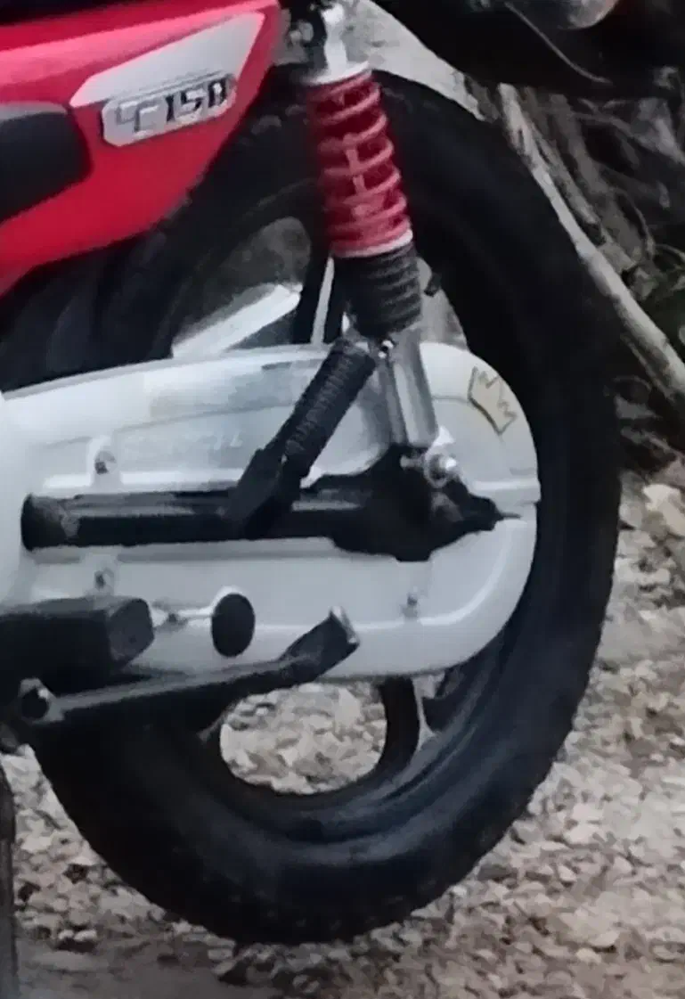 رینگ اسپرت جلو لنتی و پره|قطعات یدکی و لوازم جانبی|تالش, هشتپر|دیوار