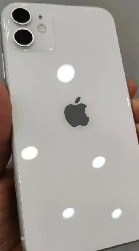 ایفون ۱۱سالم|موبایل|مشهد, آزادشهر|دیوار