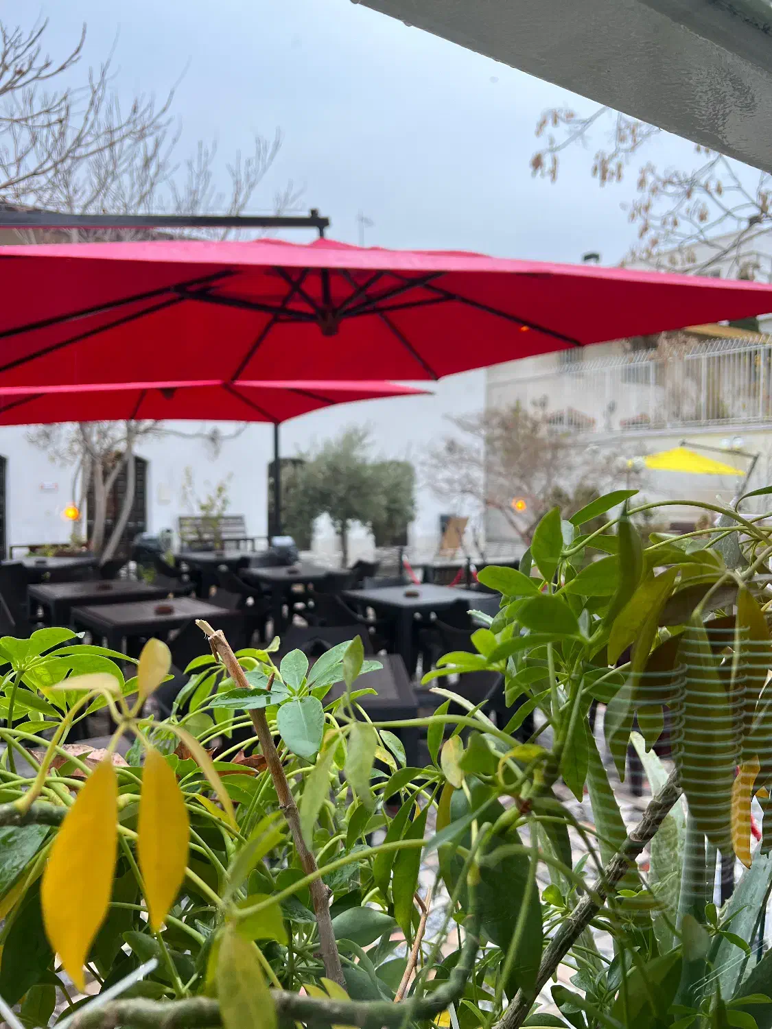 کارگر آقا جوان|استخدام خدمات فروشگاه و رستوران|تهران, شهرک غرب|دیوار