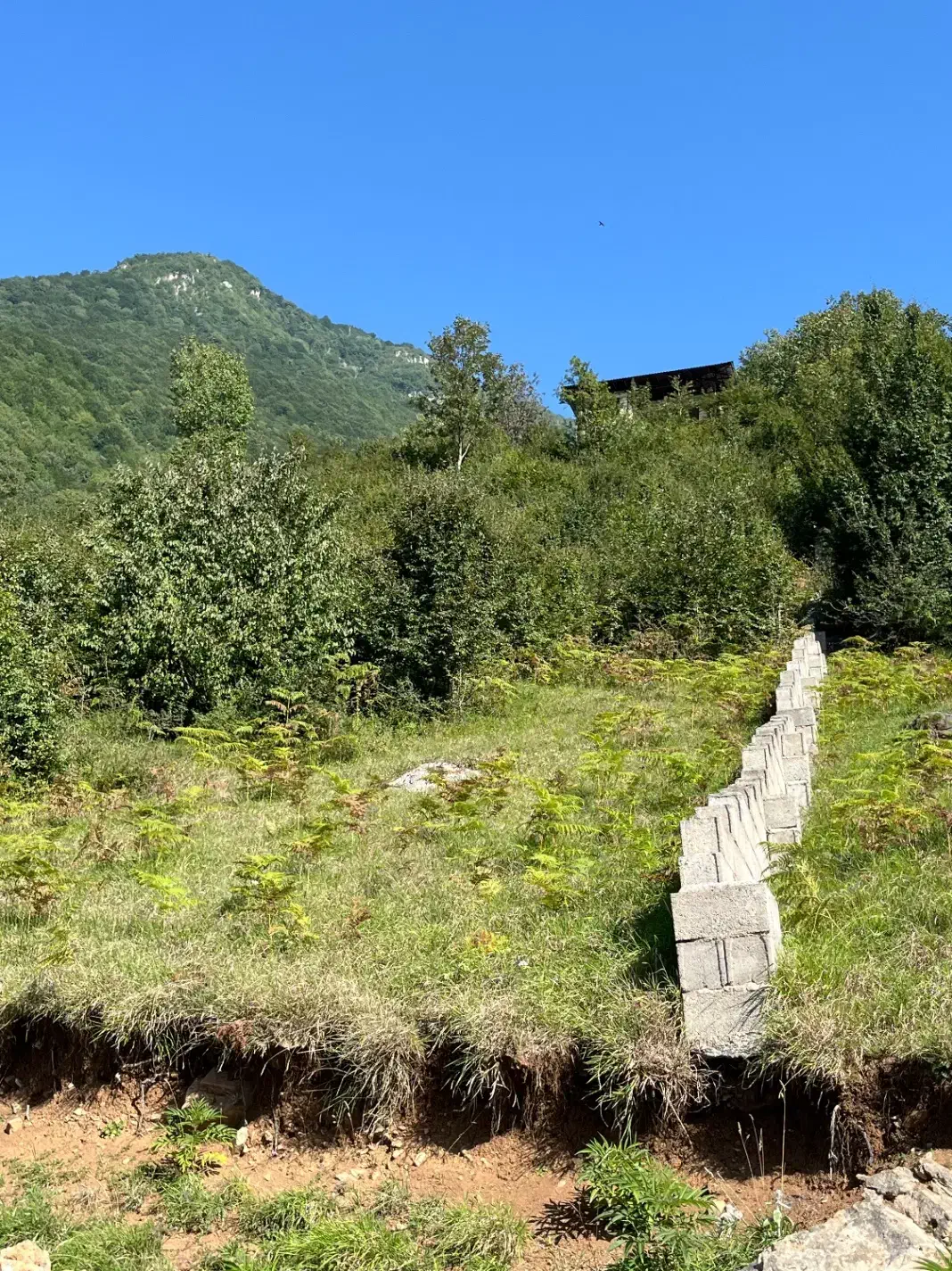 ۳۸۰مترزمین قابل ساخت تنکابن دوهزارمیانکوه زیبامالک|فروش زمین و ملک کلنگی|تنکابن, |دیوار