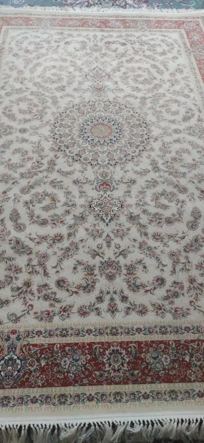 فرش|فرش|شیراز, معالی‌آباد|دیوار