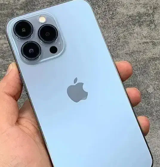 خریدار 13 پرومکس|موبایل|اردبیل, |دیوار