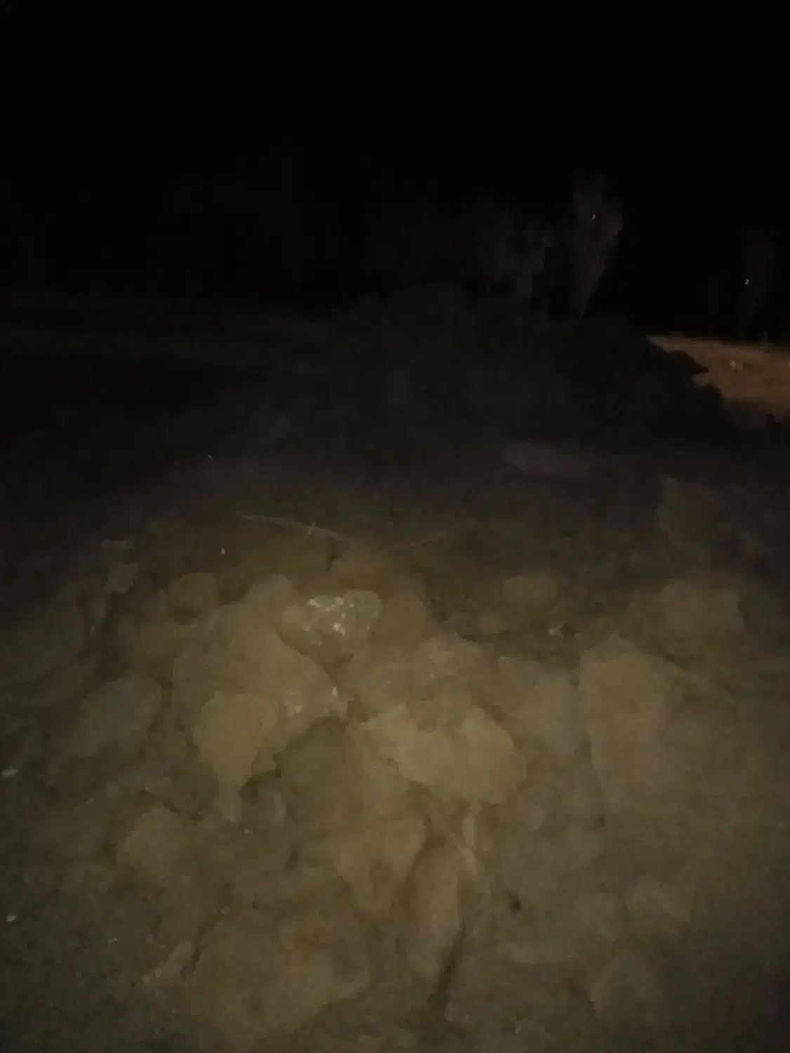 مزرعه|حیوانات مزرعه|تربتحیدریه, سرمحله|دیوار