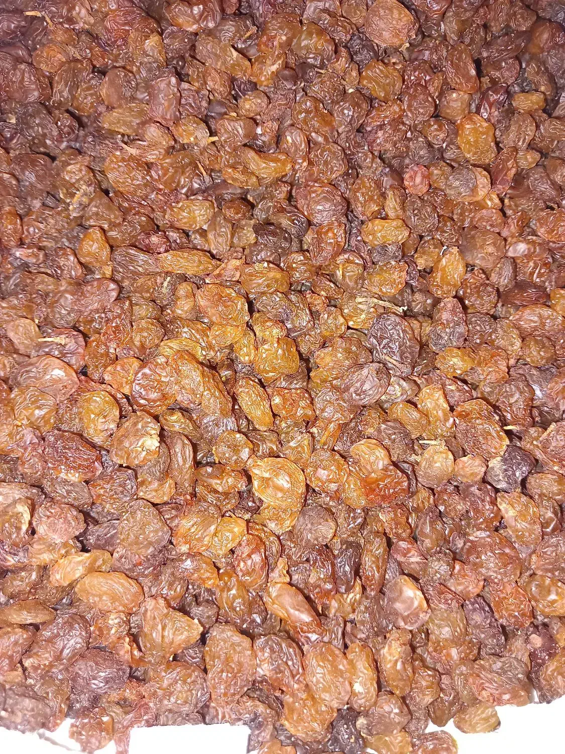 کشمش تازه بدون دم|خوردنی و آشامیدنی|قوچان, |دیوار