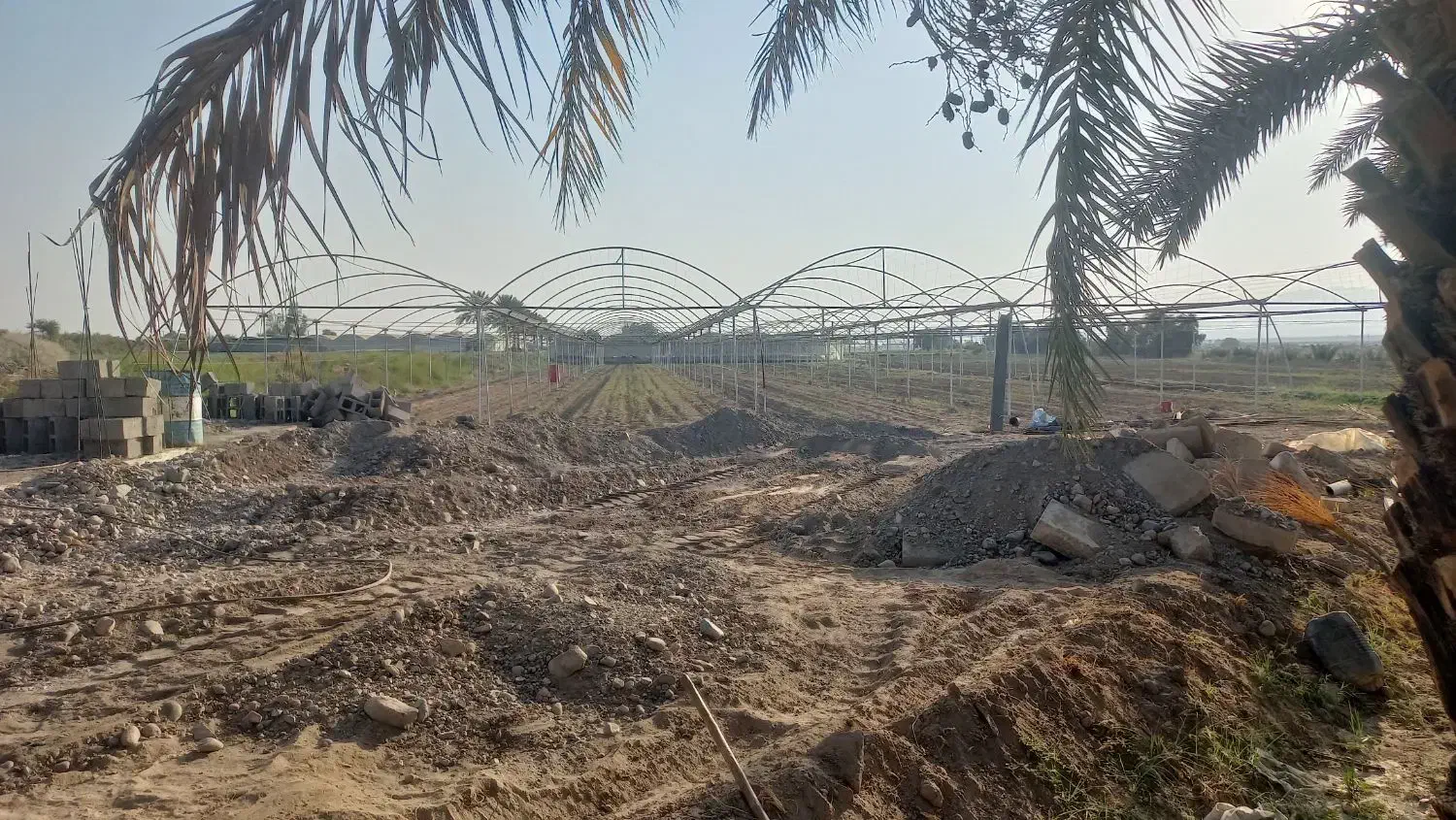 سه هزار متر گلخانه در جنگل اباد به اجاره داده م|اجارهٔ دفتر صنعتی، کشاورزی، تجاری|جیرفت, |دیوار