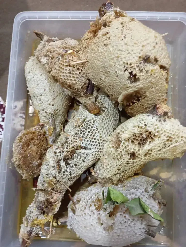 عسل طبیعی اصل|خوردنی و آشامیدنی|لیکک, |دیوار