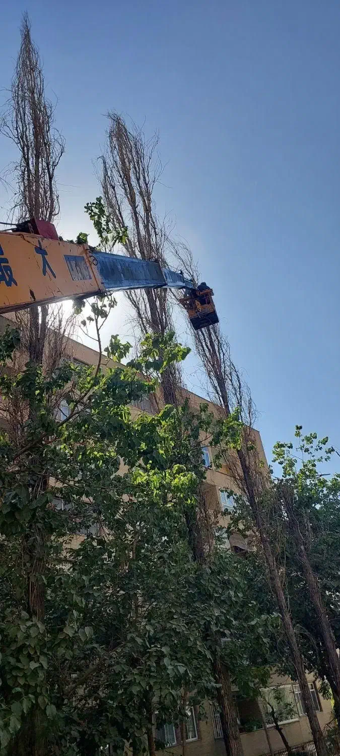 جرثقیل اجاره ۷تن دکل بلند|خدمات حمل و نقل|تهران, افسریه شمالی|دیوار