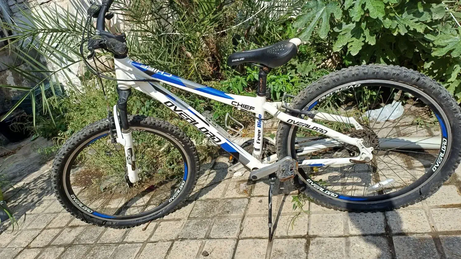 فروش دوچرخه|دوچرخه، اسکیت، اسکوتر|قائمشهر, |دیوار