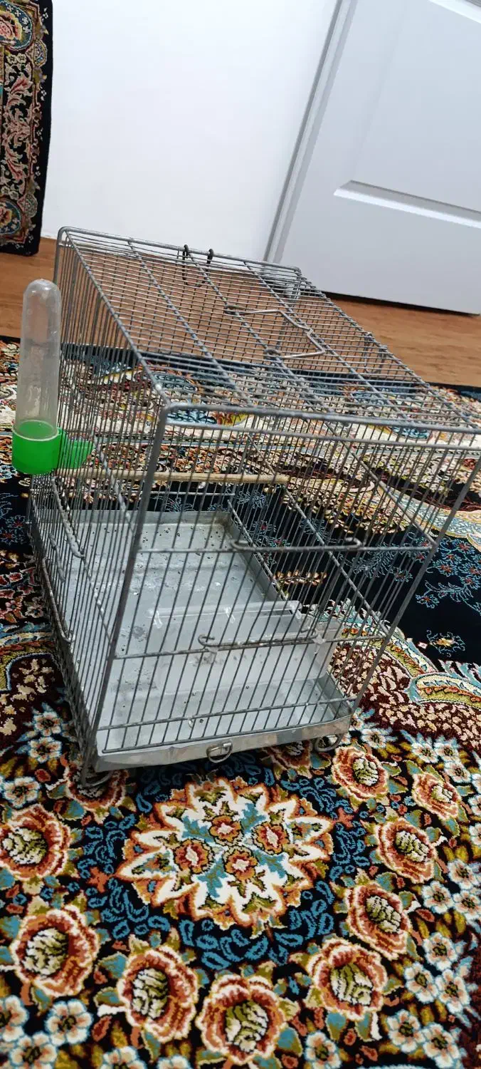 قفس|لوازم جانبی حیوانات|همدان, |دیوار