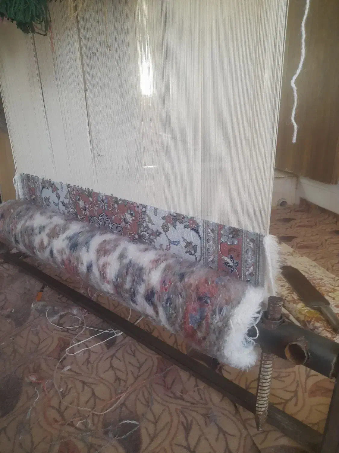 قالی چهار نشونی|فرش|اشکذر, |دیوار