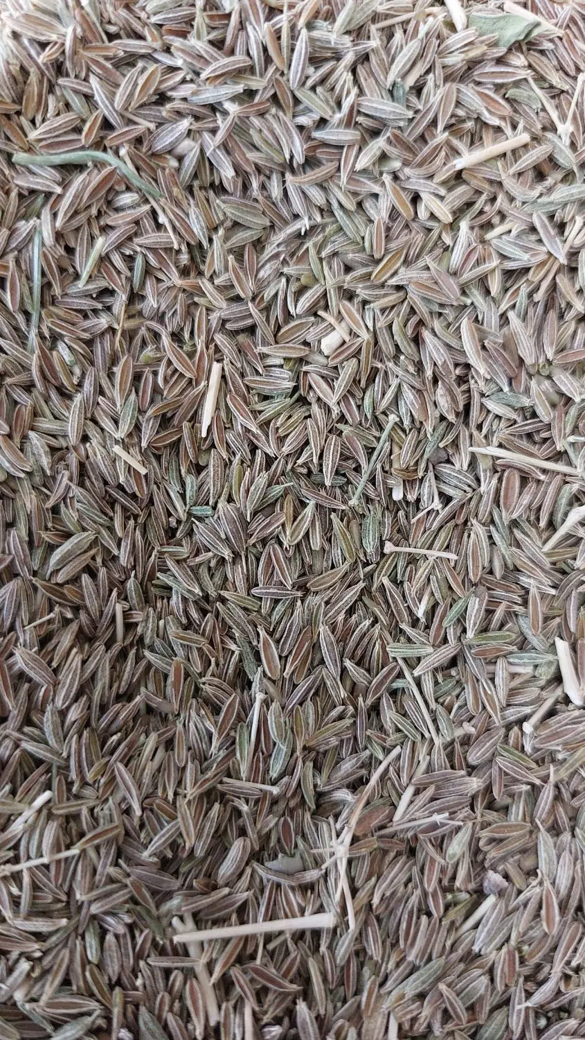 زیره سبز|خوردنی و آشامیدنی|قم, صدوق|دیوار