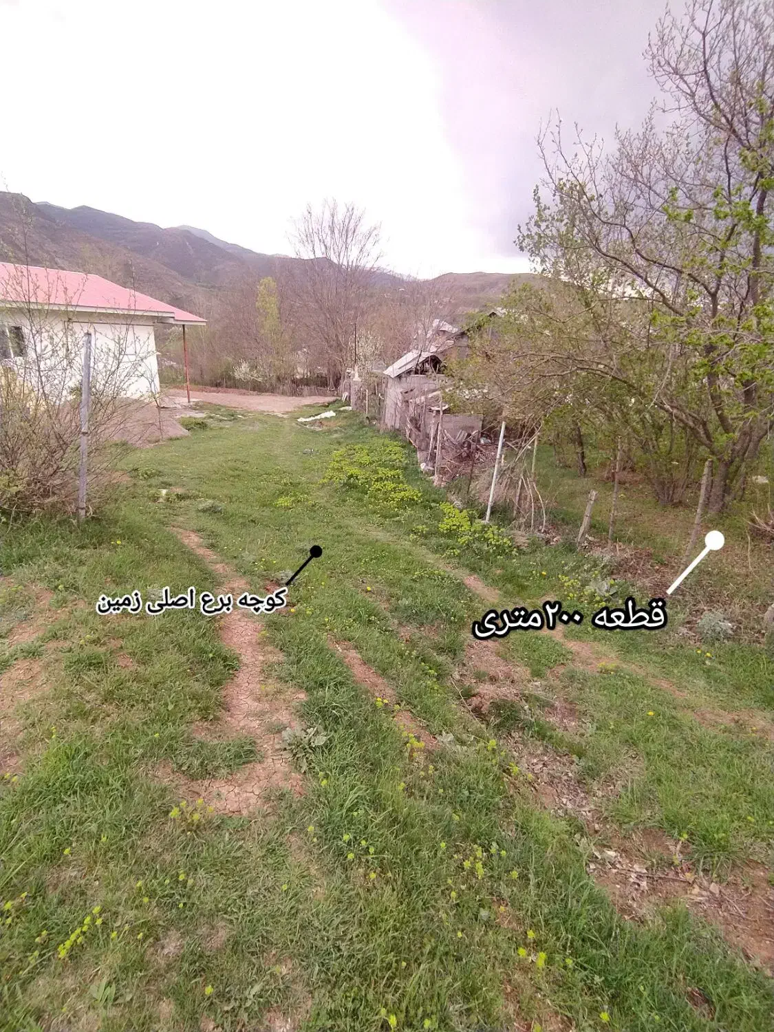 ۲۰۰متر زمین مسکونی دیلمان|فروش زمین و ملک کلنگی|دیلمان, |دیوار