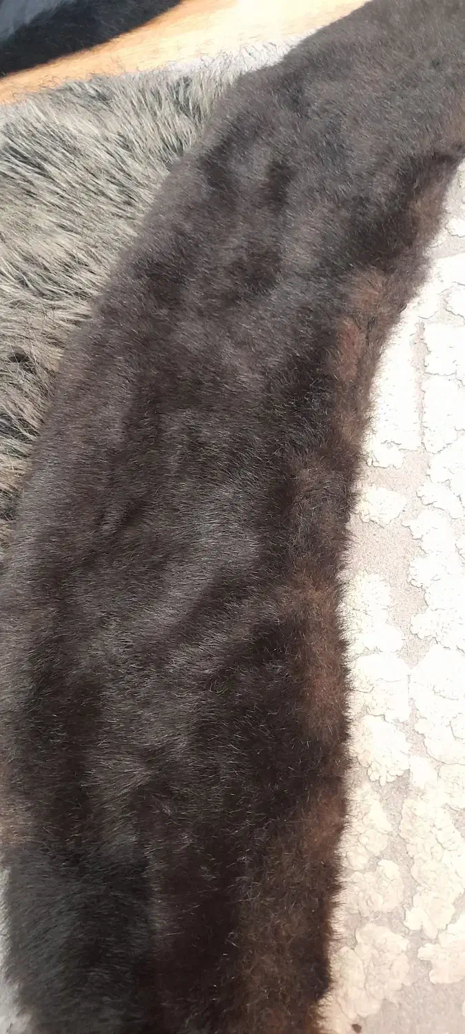 خز پالتو خارجی|لباس|رشت, جهاد|دیوار