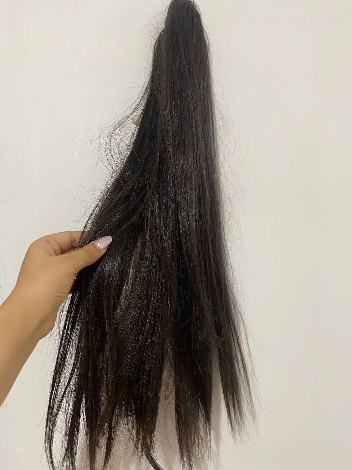 دو عدد کلاه گیس بلند|آرایشی، بهداشتی، درمانی|گنبد کاووس, |دیوار