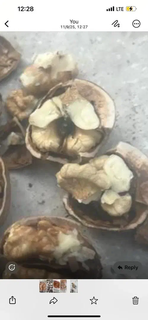 گردوامسالی|عمده‌فروشی|محلات, |دیوار