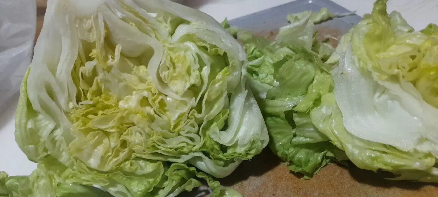 سبزی خانگی ریحان|خوردنی و آشامیدنی|شیراز, زرهی|دیوار