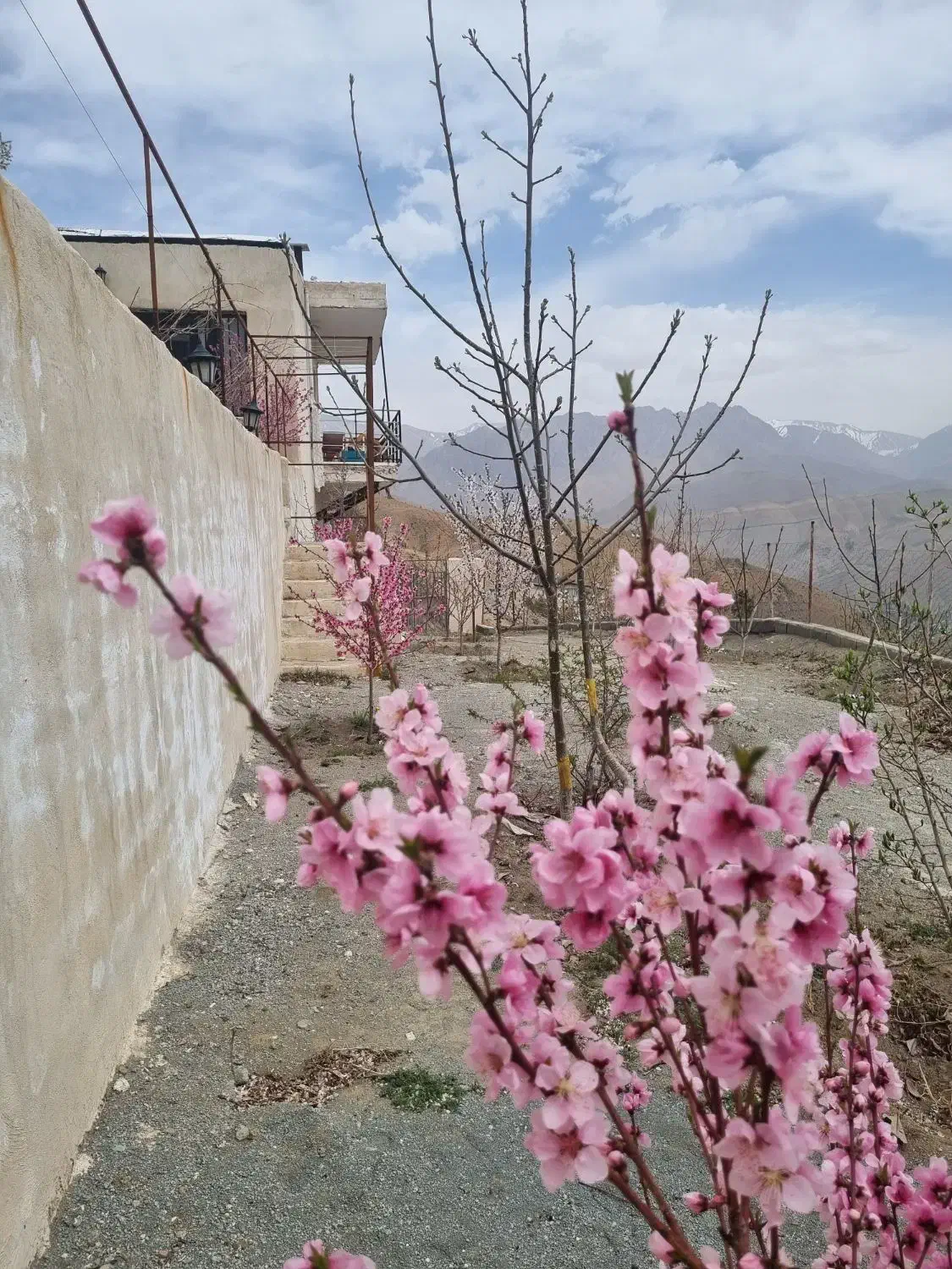 باغ ۸۰۰ متری محدوده نوجان|فروش خانه و ویلا|آسارا, |دیوار