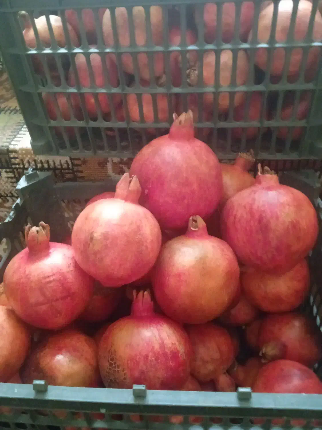 فروش انار درجه یک|خوردنی و آشامیدنی|ارد, |دیوار