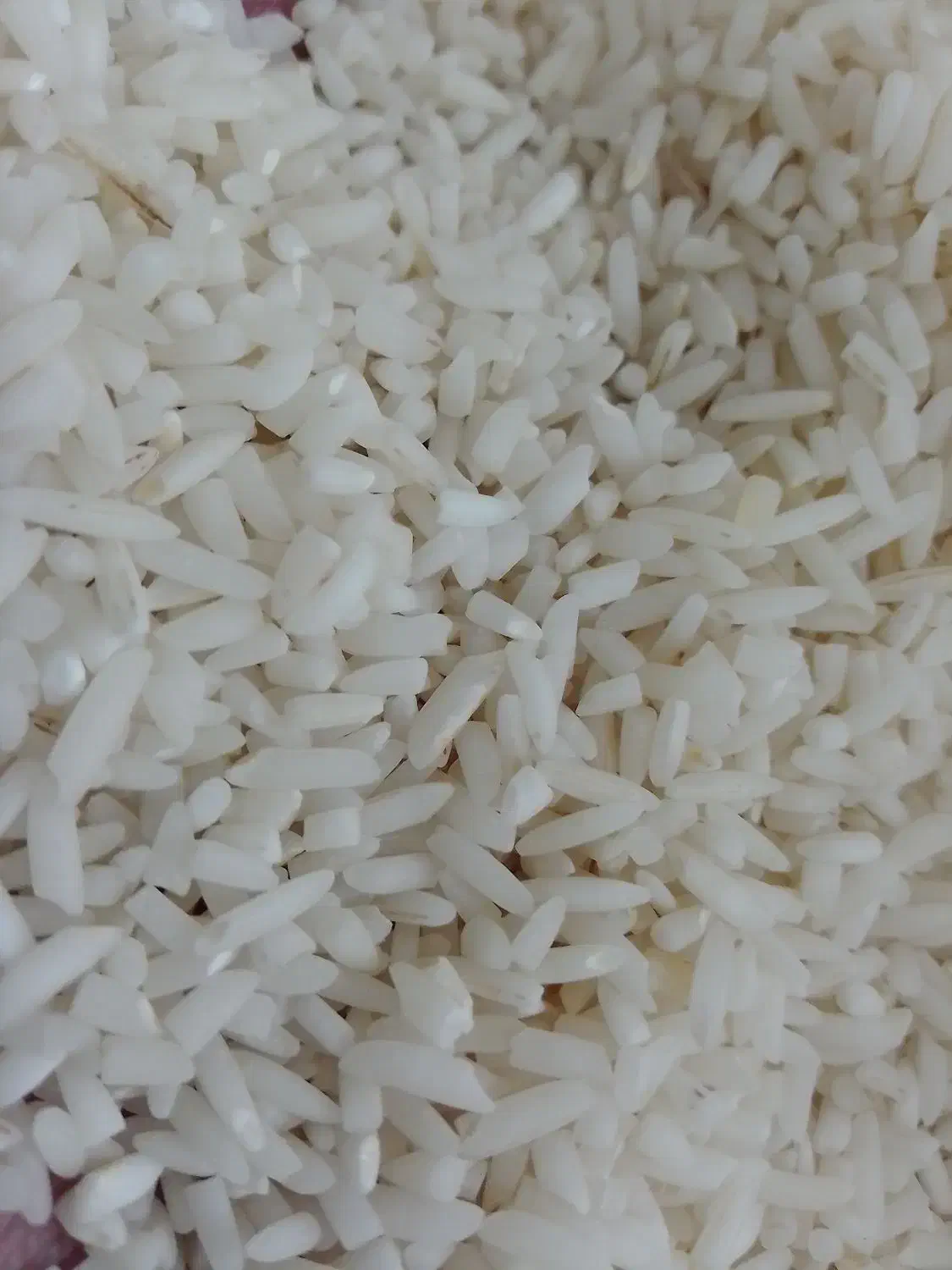 سرلاشه برنج هاشمی|خوردنی و آشامیدنی|قم, باسکول|دیوار