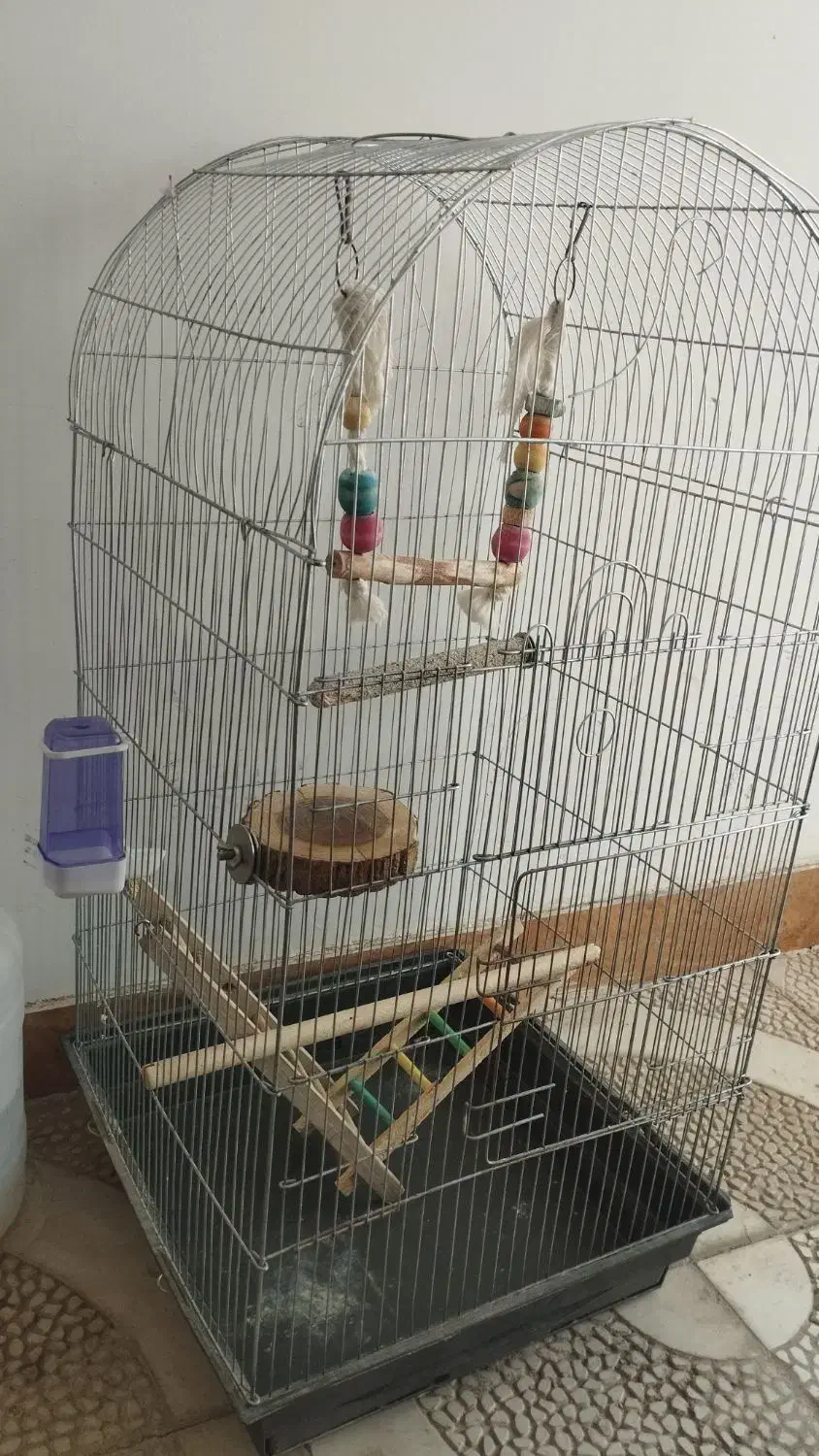 قفس کاسکویی|لوازم جانبی حیوانات|سبزوار, توحیدشهر|دیوار