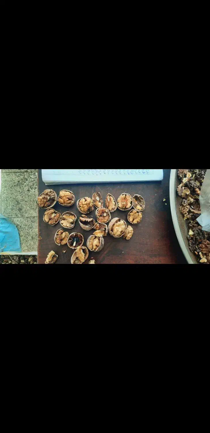 گردو همدان|خوردنی و آشامیدنی|قم, حاج زینل|دیوار