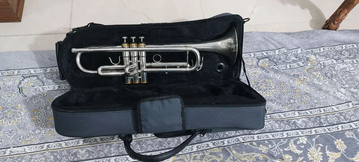 ترومپت|سازهای بادی|شاهین‌شهر, شهرک گلدیس|دیوار