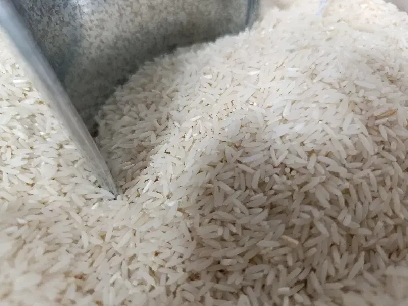 برنج فروشی دهکده|خوردنی و آشامیدنی|گرگان, |دیوار