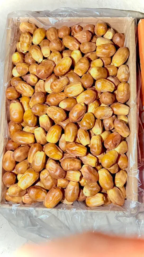 خرما زاهدی(قصب) و ضایعات قصب|خوردنی و آشامیدنی|شیراز, آبیاری|دیوار