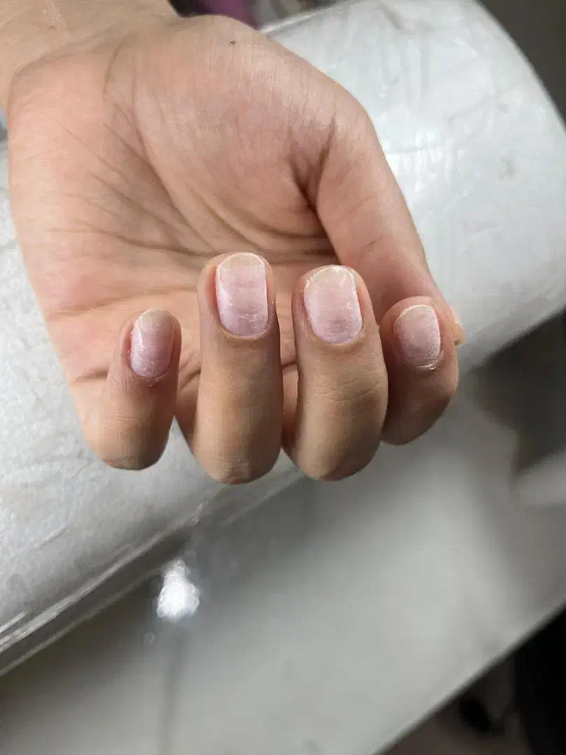 مدل ناخن رایگان|خدمات آرایشگری و زیبایی|ری, سرتخت|دیوار