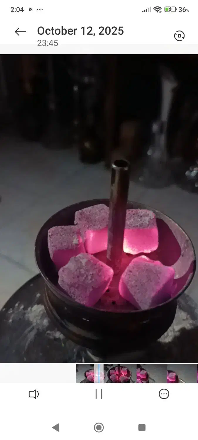 فروش عمده زغال حبه ای (نارگیل،پسته)شلنگ،قلیان|عمده‌فروشی|تهران, قبا|دیوار