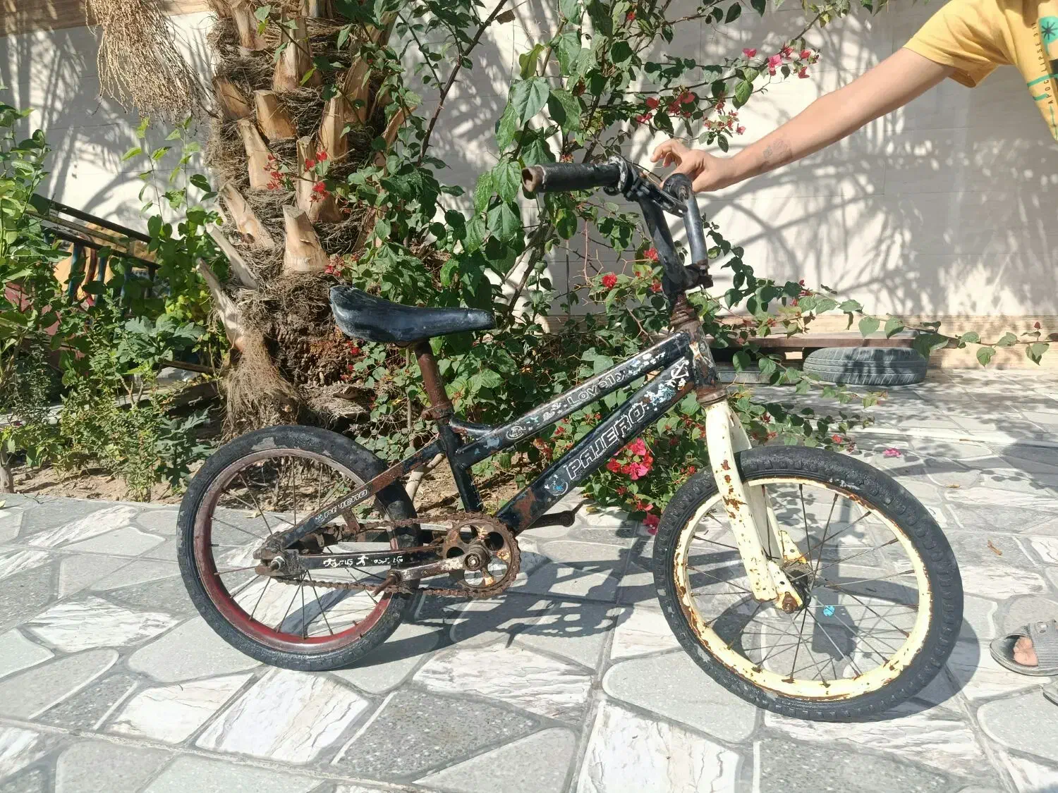 دوچرخه ۱۶|دوچرخه، اسکیت، اسکوتر|باوی, |دیوار