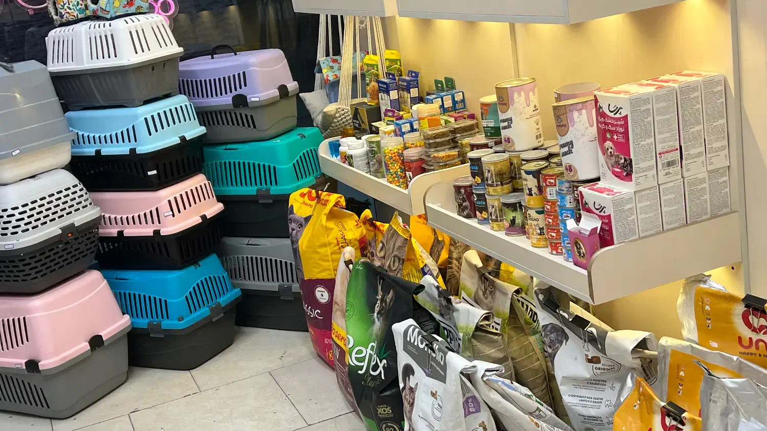 غذا خشک باکس خاک  پت شاپ کوله|لوازم جانبی حیوانات|مشهد, گلبرگ|دیوار