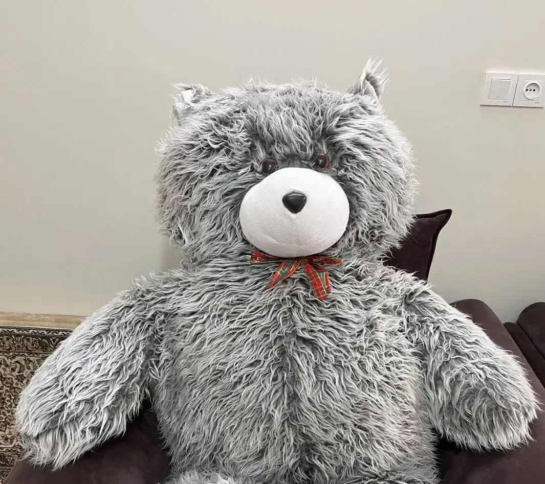 خرس عروسکی|اسباب‌‌بازی|قم, انسجام|دیوار