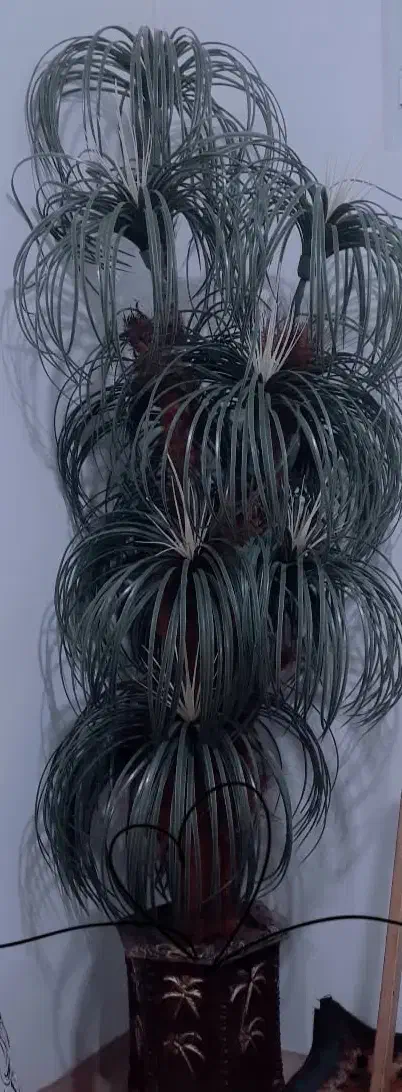 درخچه مصنوعی|گل مصنوعی|ورزقان, |دیوار