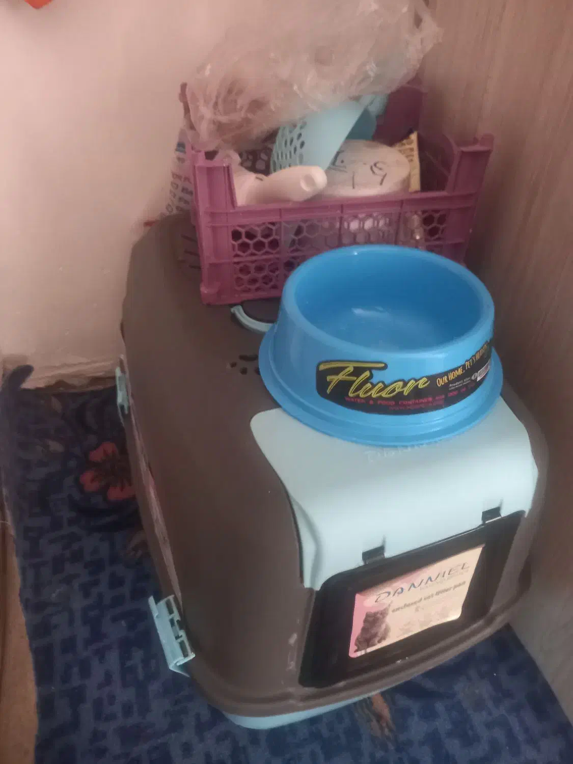 وسایل گربه|لوازم جانبی حیوانات|تنکمان, |دیوار