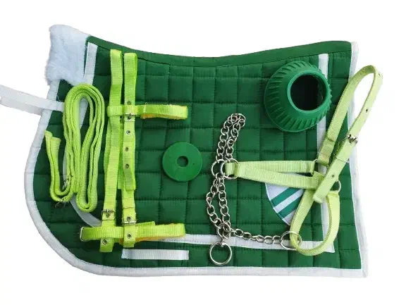 ست سوارکاری|اسب و تجهیزات اسبسواری|تولم شهر, |دیوار