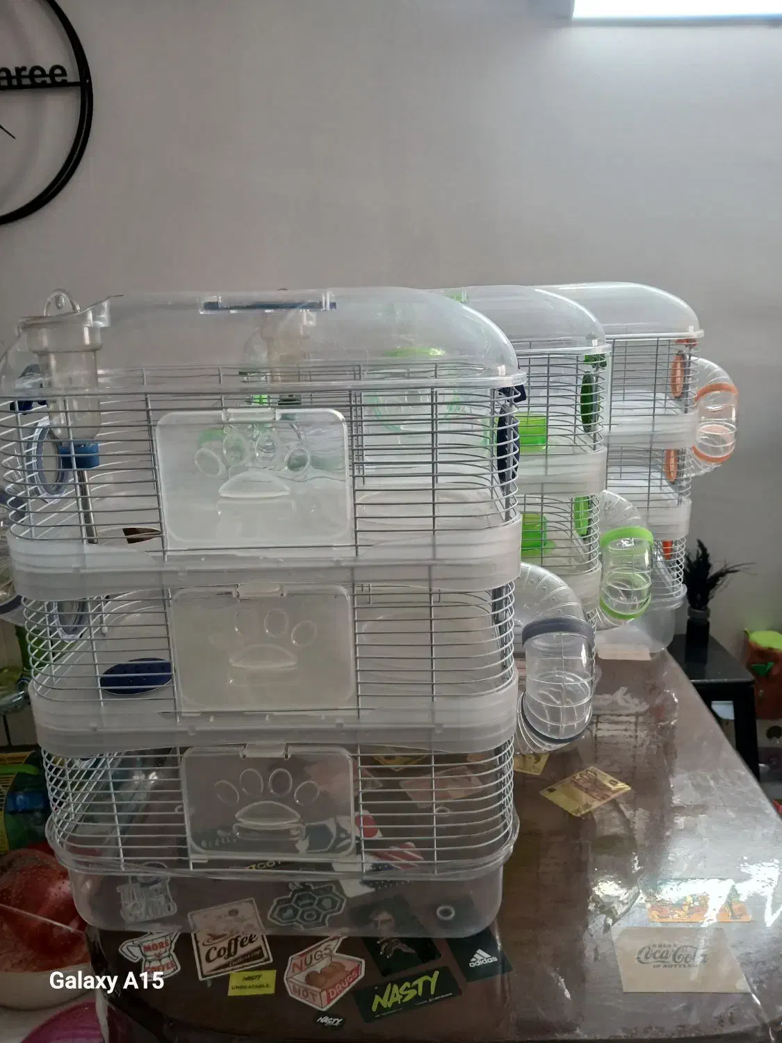 قفس جوندگان|موش و خرگوش|تهران, سازمان برنامه جنوبی|دیوار