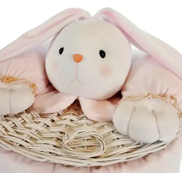 سبد حصیری کودک|اسباب و اثاث بچه|کرمان, |دیوار