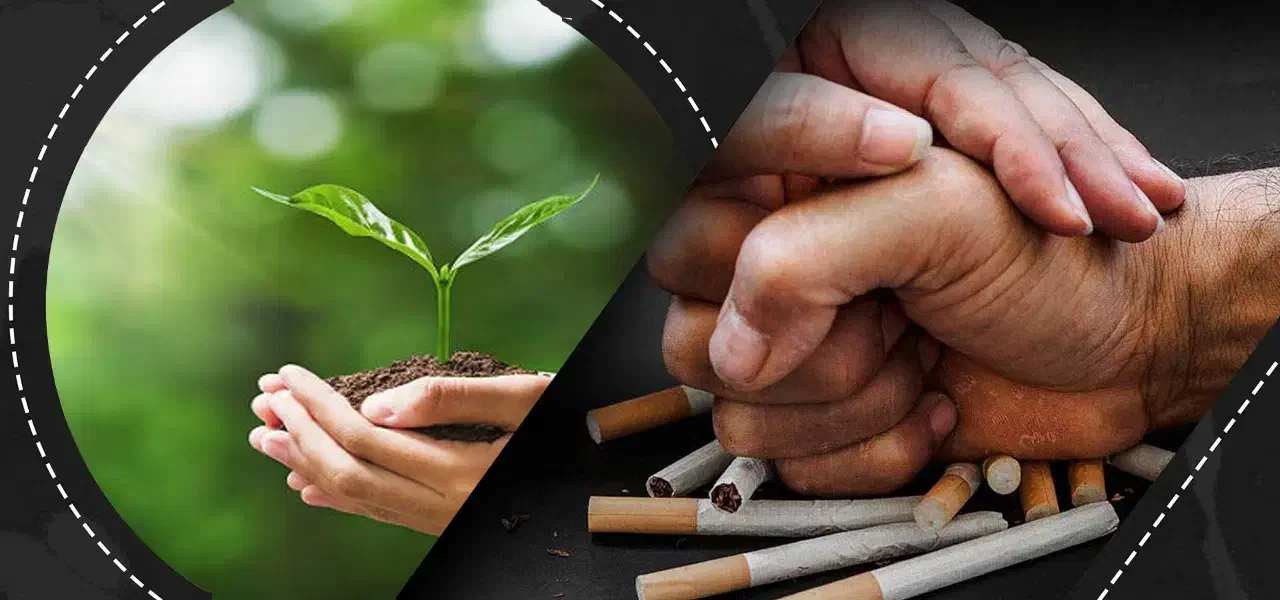 شوق رهایی از اعتیاد را با ما در منزل تجربه کنید|خدمات آرایشگری و زیبایی|تهران, نیاوران|دیوار