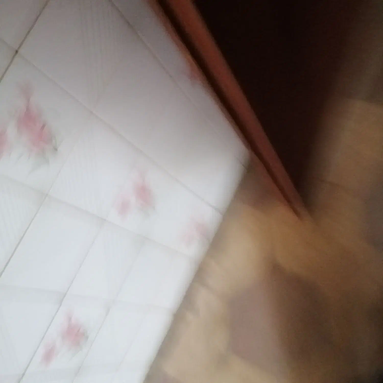 اجاره انباری و کارگاه رهن و اجاره|اجارهٔ مغازه و غرفه|شیراز, محراب|دیوار