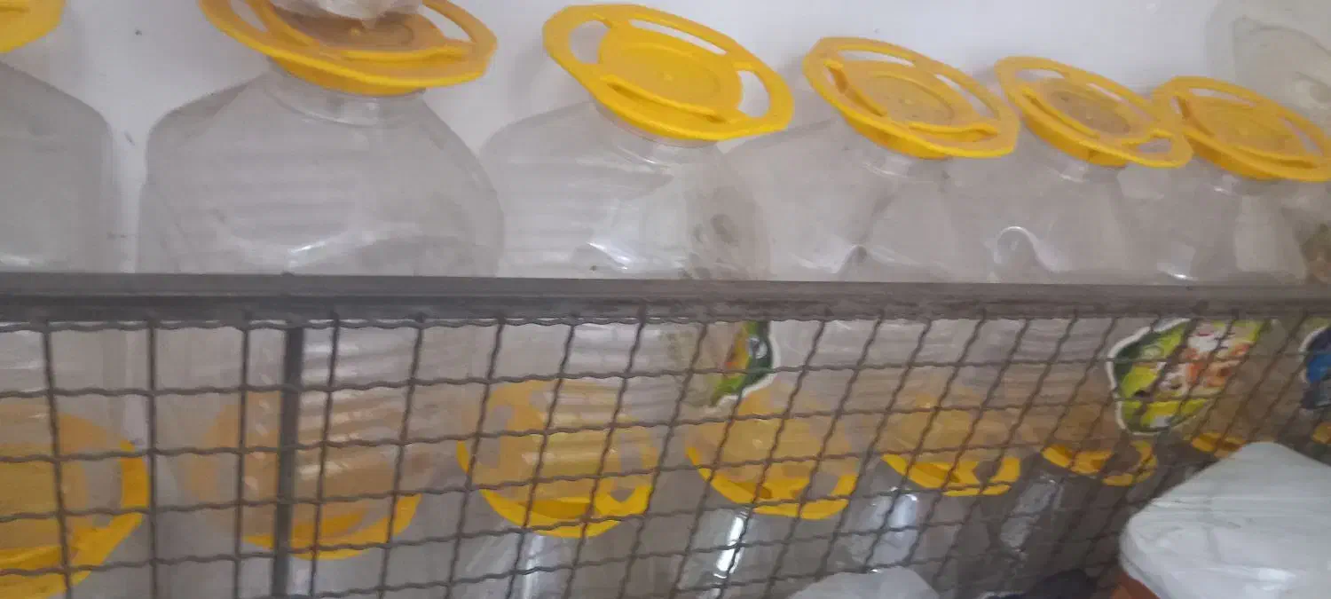 دبه ترشی|ظروف نگهدارنده، پلاستیکی، یک‌بارمصرف|رشت, پارک شهر|دیوار