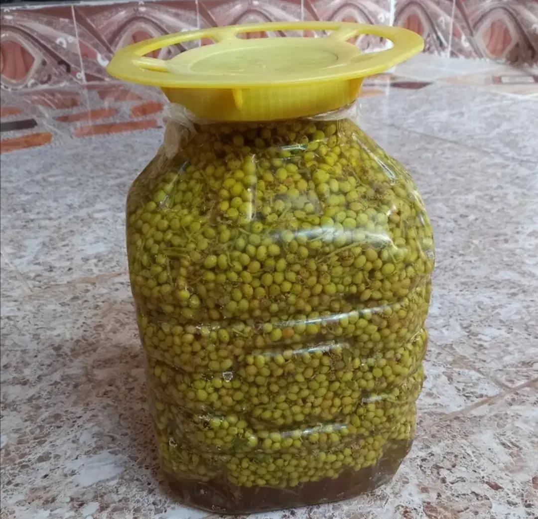 ترشی بنه|خوردنی و آشامیدنی|شیراز, بهارستان|دیوار