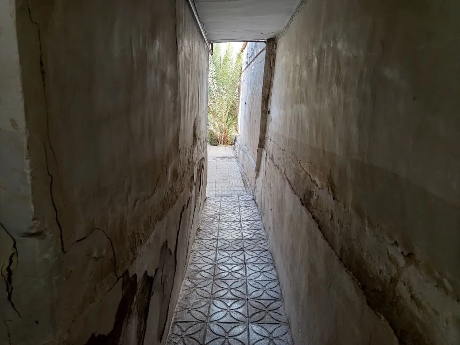 تصویر 5