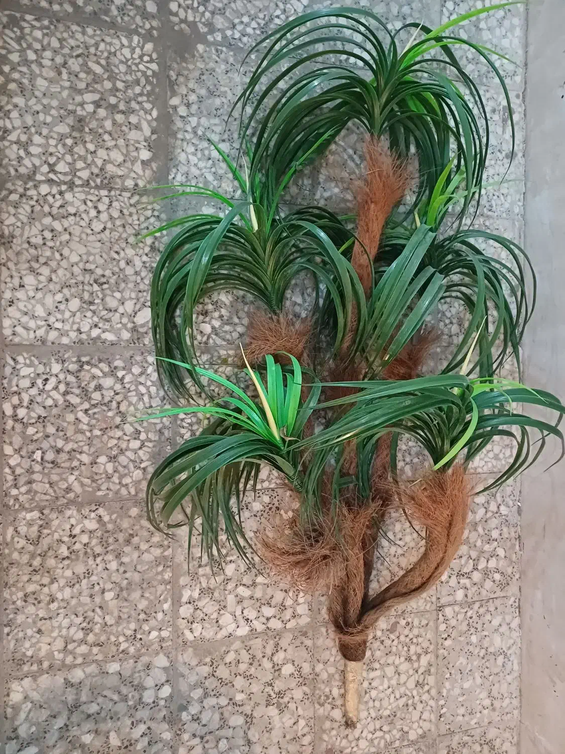 گل درخت نخل|گل مصنوعی|ارومیه, |دیوار